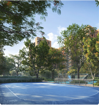 Sports court