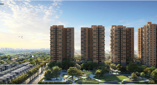 Towers view